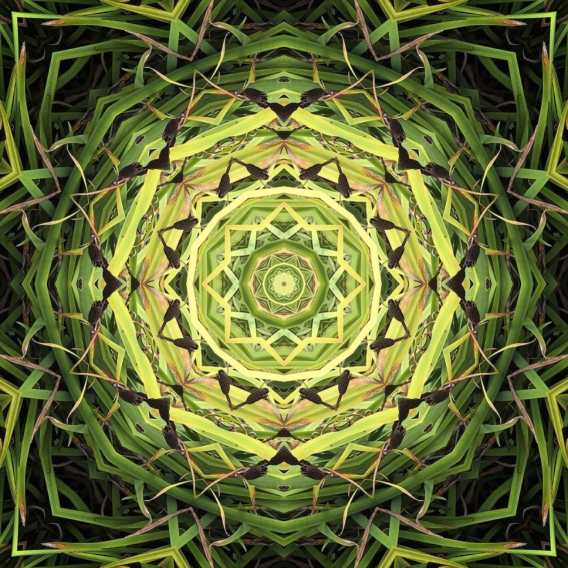 Mandala 